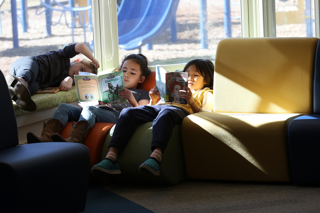 BDS Library Sunny 02.12.20Scoop