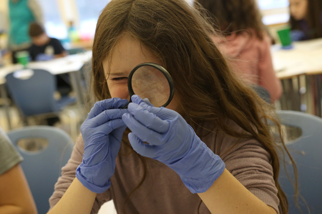 BDS Fifth Science 9 12.19.19Scoop