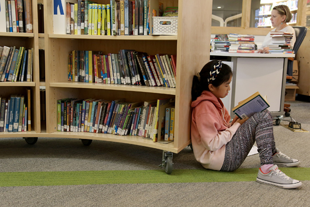 BDS Seventh Library Scoop 3 11.19.19