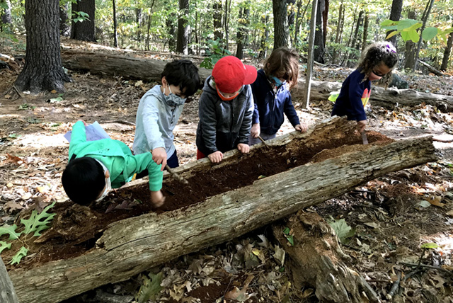 BDS LU PreK Scoop 10.15.20