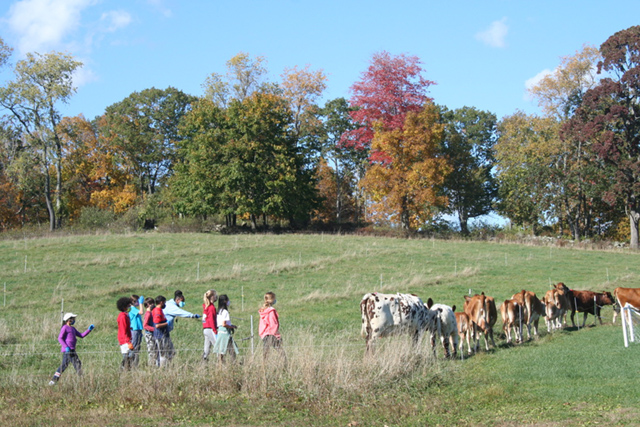 BDS LU Sixth Farm School 2 10.15.20