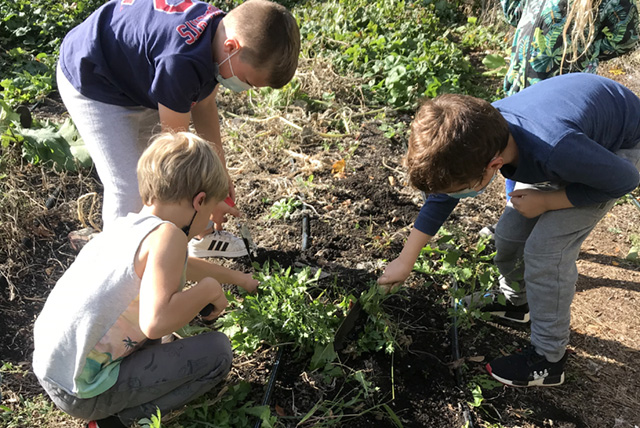 BDS Garden News Scoop 10.20.21