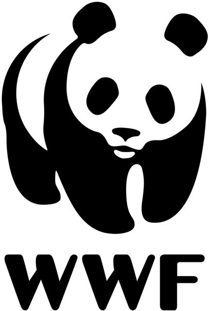 BDS Beyond WWF Logo 01.28.22 A drawing by a pre-k student of two hearts and a hand