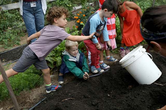 BDS PreK Potatoes 6 09.13.23Scoop